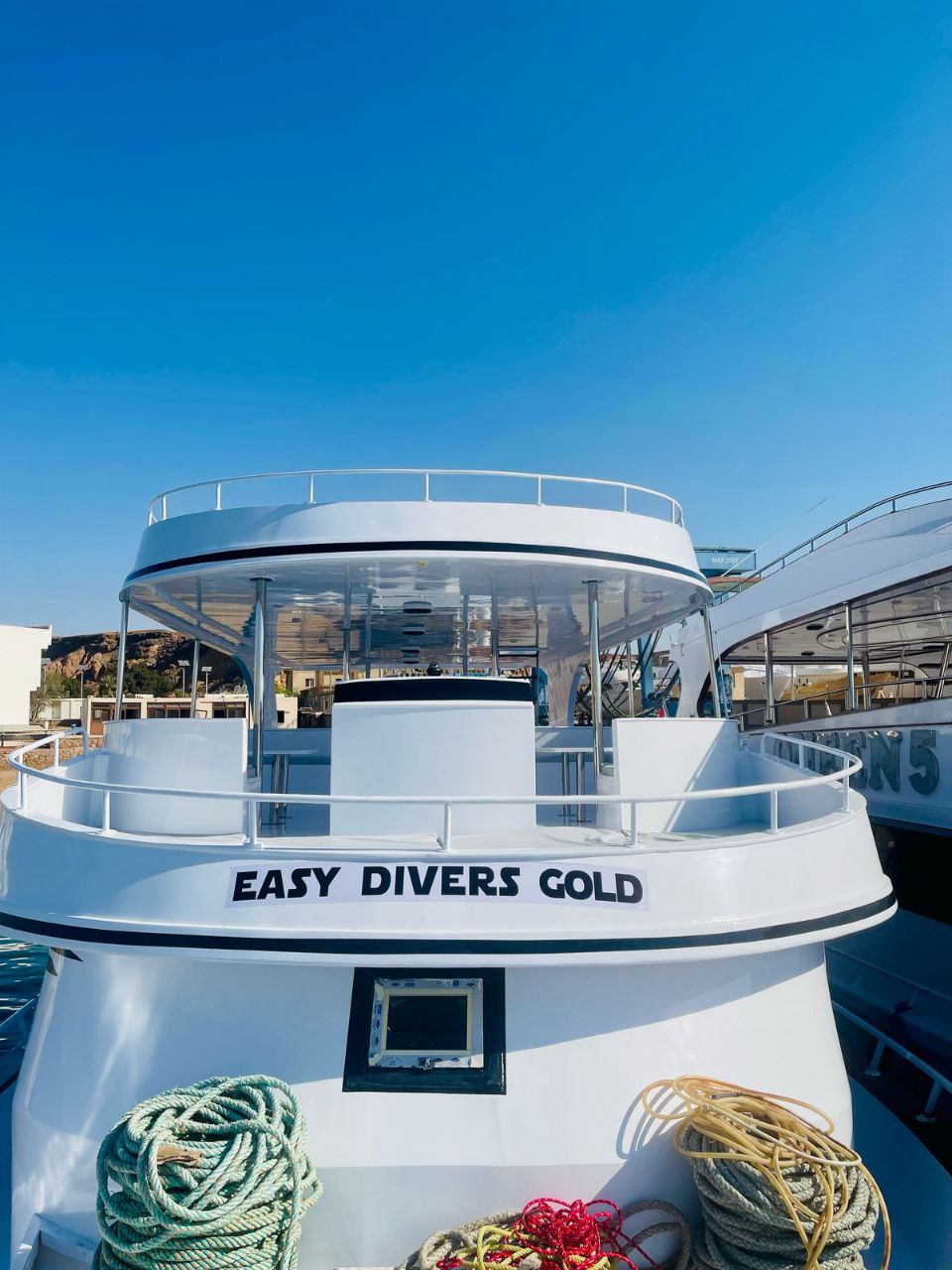 Easy Divers Gold