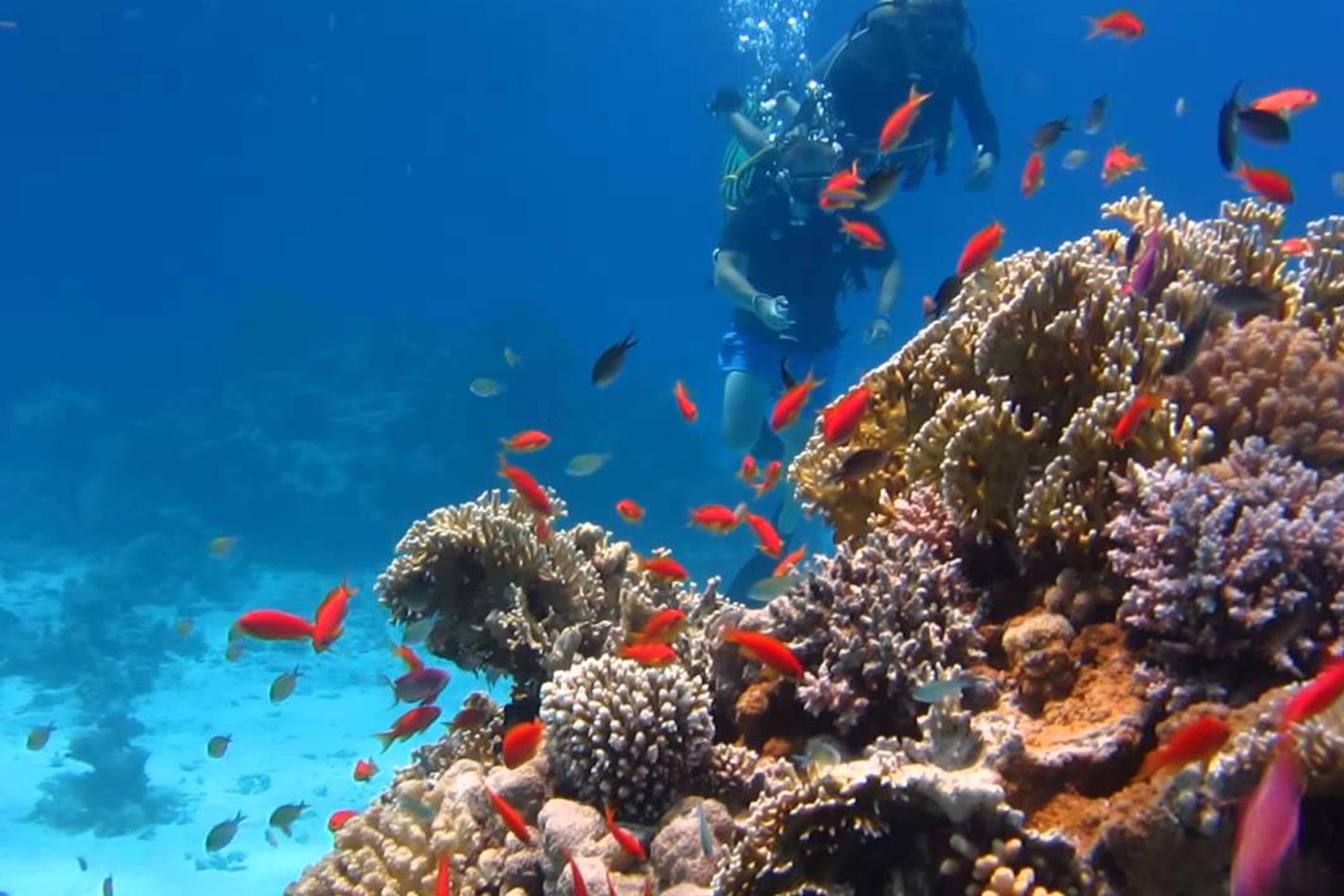 Камера для подводной съемки