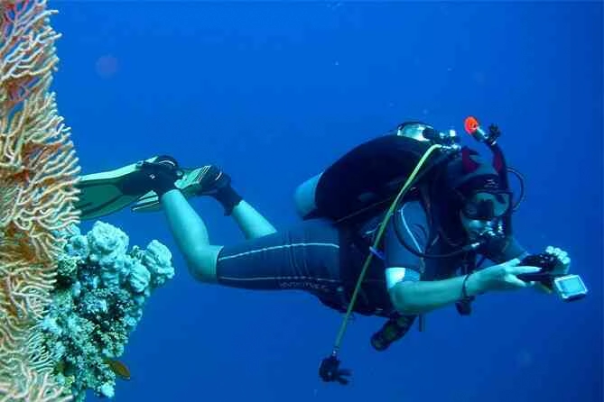 PADI Rescue Diver E-learning